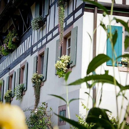 Weingut Alfred Huber Appartement Durbach Buitenkant foto