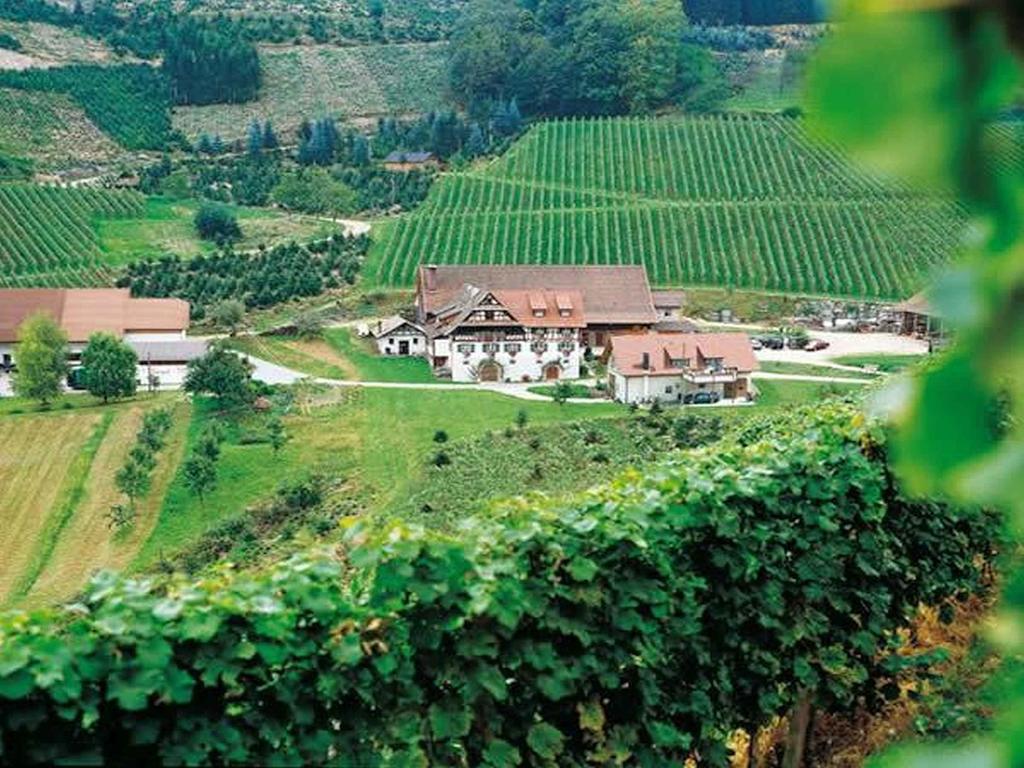 Weingut Alfred Huber Appartement Durbach Buitenkant foto