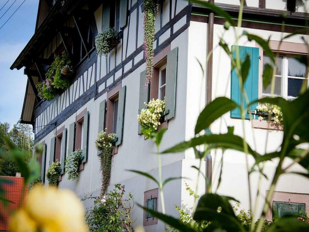 Weingut Alfred Huber Appartement Durbach Buitenkant foto