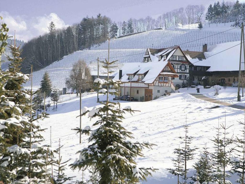 Weingut Alfred Huber Appartement Durbach Buitenkant foto